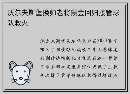 沃尔夫斯堡换帅老将黑金回归接管球队救火